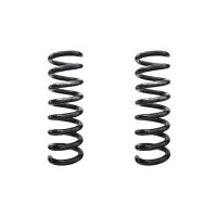 Fahrwerksfeder-Set hinten Schraubenfeder 295mm SPIDAN...