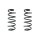 Fahrwerksfeder-Set hinten Schraubenfeder 339mm SPIDAN für BMW X6 (E71)