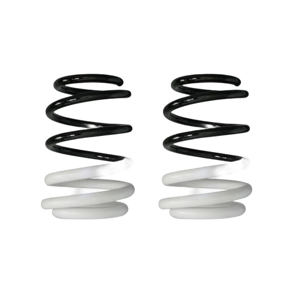 Suspension spring set front coil spring 242mm SPIDAN for RENAULT CLIO III