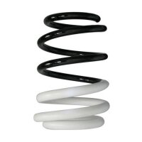 Fahrwerksfeder-Set vorne Schraubenfeder 242mm SPIDAN...