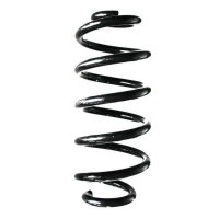 Fahrwerksfeder-Set hinten Schraubenfeder 311mm SPIDAN...