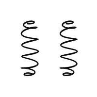 Fahrwerksfeder-Set hinten Schraubenfeder 367mm SPIDAN...