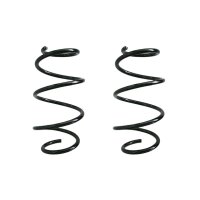 Fahrwerksfeder-Set vorne Schraubenfeder 317mm SPIDAN...