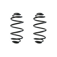 Suspension spring set rear coil spring 293mm SPIDAN for...