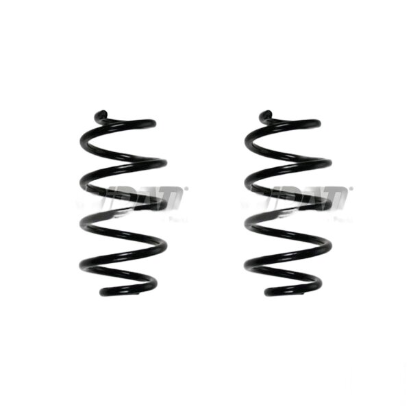 Fahrwerksfedern-Set hinten Schraubenfeder 255mm SPIDAN für NISSAN JUKE F15