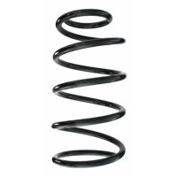Fahrwerksfeder-Set vorne Schraubenfeder 318mm SPIDAN...