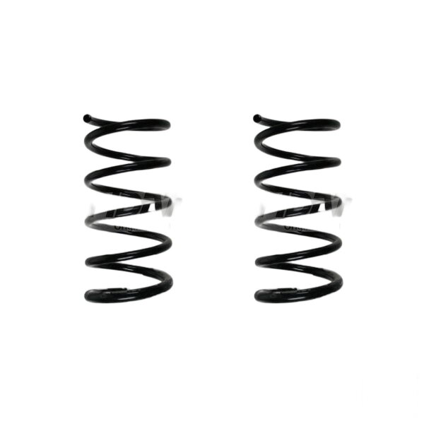 Suspension spring set rear coil spring 335mm SPIDAN for VOLVO S80 I