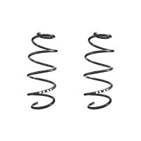 Fahrwerksfeder-Set SPIDAN für VW POLO V