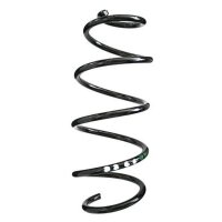 Fahrwerksfeder-Set SPIDAN für VW POLO V