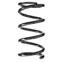 Fahrwerksfeder-Set hinten Schraubenfeder 255mm SPIDAN...