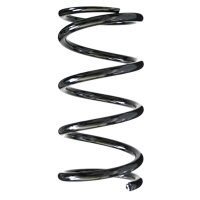 Fahrwerksfedern-Set hinten Schraubenfeder 255mm SPIDAN...