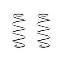 Suspension spring set front coil spring 383mm SPIDAN for...