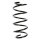 Fahrwerksfeder-Set vorne Schraubenfeder 300mm SPIDAN für OPEL CORSA C