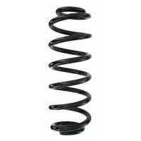Fahrwerksfeder-Set hinten Schraubenfeder 320mm SPIDAN...