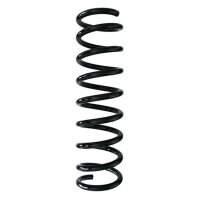 Fahrwerksfedern-Set hinten Schraubenfeder 404mm SPIDAN...