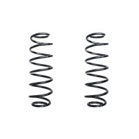 Suspension spring set rear coil spring 300mm SPIDAN for...