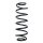 Fahrwerksfeder-Set hinten Schraubenfeder 300mm SPIDAN für SEAT IBIZA IV