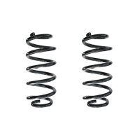 Suspension spring set rear coil spring 265mm SPIDAN for...