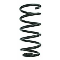 Fahrwerksfeder-Set hinten Schraubenfeder 246mm SPIDAN...