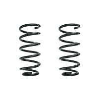 Suspension spring set rear coil spring 246mm SPIDAN for...