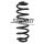 Fahrwerksfeder-Set hinten Schraubenfeder 363mm SPIDAN für VW PASSAT ALLTRACK