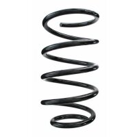 Fahrwerksfeder-Set vorne Schraubenfeder 302mm SPIDAN...