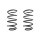 Fahrwerksfeder-Set vorne Schraubenfeder 302mm SPIDAN für FORD FOCUS III
