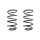 Suspension spring set front coil spring 302mm SPIDAN for FORD FOCUS III