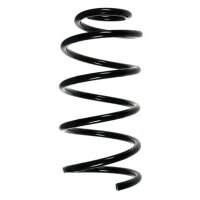 Fahrwerksfeder-Set vorne Schraubenfeder 307mm SPIDAN...