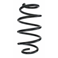 Fahrwerksfeder-Set vorne Schraubenfeder 303mm SPIDAN...