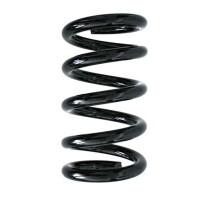 Fahrwerksfeder-Set vorne Schraubenfeder 268mm SPIDAN...