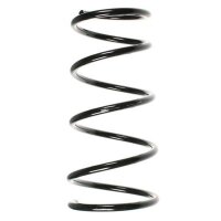 Fahrwerksfeder-Set vorne Schraubenfeder 313mm SPIDAN...