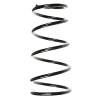 Suspension spring set front coil spring 313mm SPIDAN for...