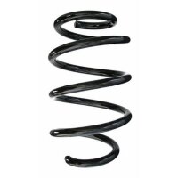 Fahrwerksfeder-Set vorne Schraubenfeder 254mm SPIDAN...