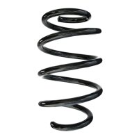 Suspension spring set front coil spring 254mm SPIDAN for...