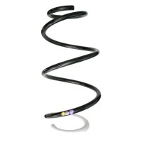 Suspension spring set front coil spring 347mm SPIDAN for...