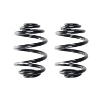 Fahrwerksfeder-Set hinten Schraubenfeder 227mm SPIDAN...