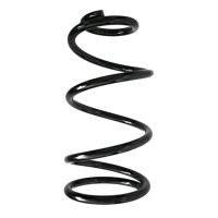 Suspension spring set front coil spring 365mm SPIDAN for...