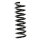 Fahrwerksfeder-Set hinten Schraubenfeder 317mm SPIDAN für MERCEDES C-KLASSE