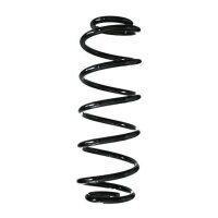 Fahrwerksfeder-Set hinten Schraubenfeder 302mm SPIDAN...