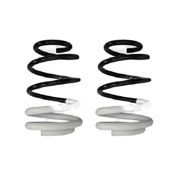 Suspension spring set front coil spring 259mm SPIDAN for RENAULT CLIO III