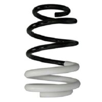 Fahrwerksfeder-Set vorne Schraubenfeder 259mm SPIDAN...