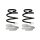 Suspension spring set front coil spring 259mm SPIDAN for RENAULT CLIO III