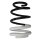 Suspension spring set front coil spring 259mm SPIDAN for RENAULT CLIO III