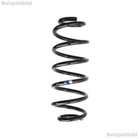 Fahrwerksfeder-Set hinten Schraubenfeder 340mm SPIDAN...