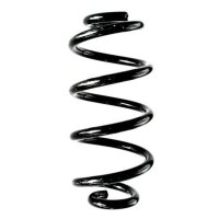 Fahrwerksfeder-Set hinten Schraubenfeder 246mm SPIDAN...