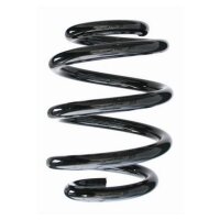 Fahrwerksfeder-Set hinten Schraubenfeder 199mm SPIDAN...