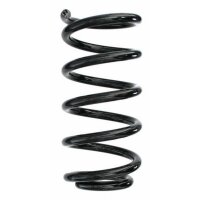 Fahrwerksfeder-Set hinten Schraubenfeder 231mm SPIDAN...