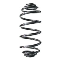 Fahrwerksfeder-Set hinten Schraubenfeder 386mm SPIDAN...