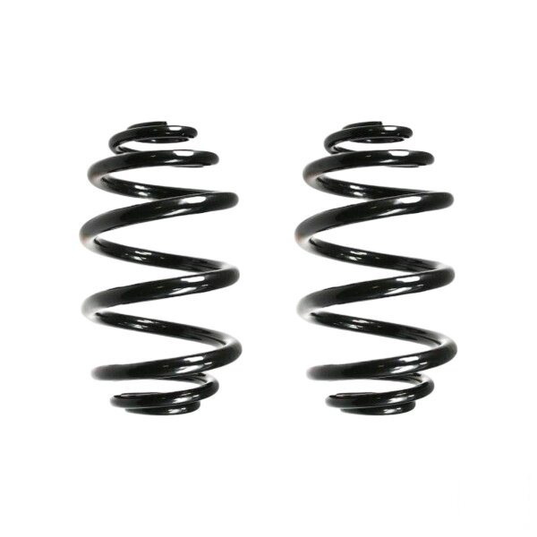 Suspension spring set rear coil spring 250mm SPIDAN for BMW 3 E46